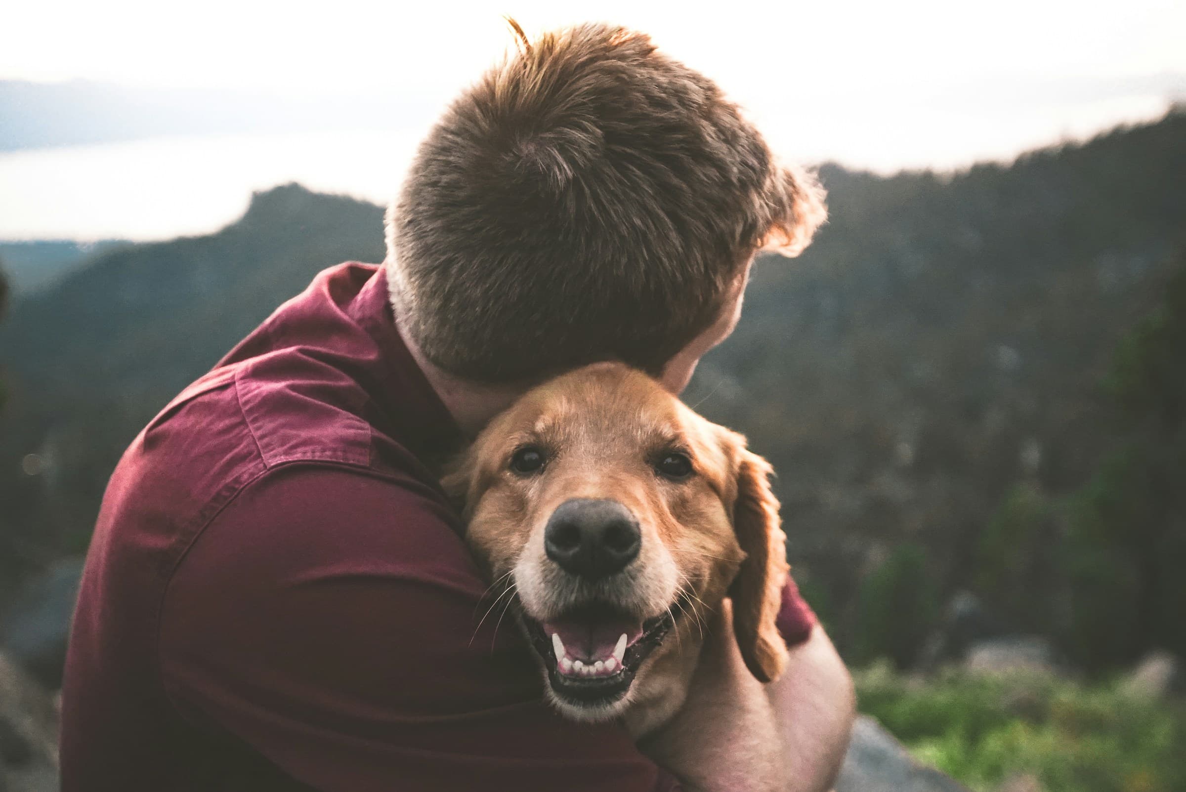 Un maître étreint son chien — la complicité au cœur de chaque séance du CECM